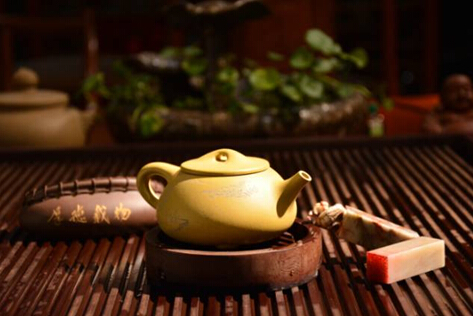 清新茶饮，喝茶娃带你探索茶的功效与好处